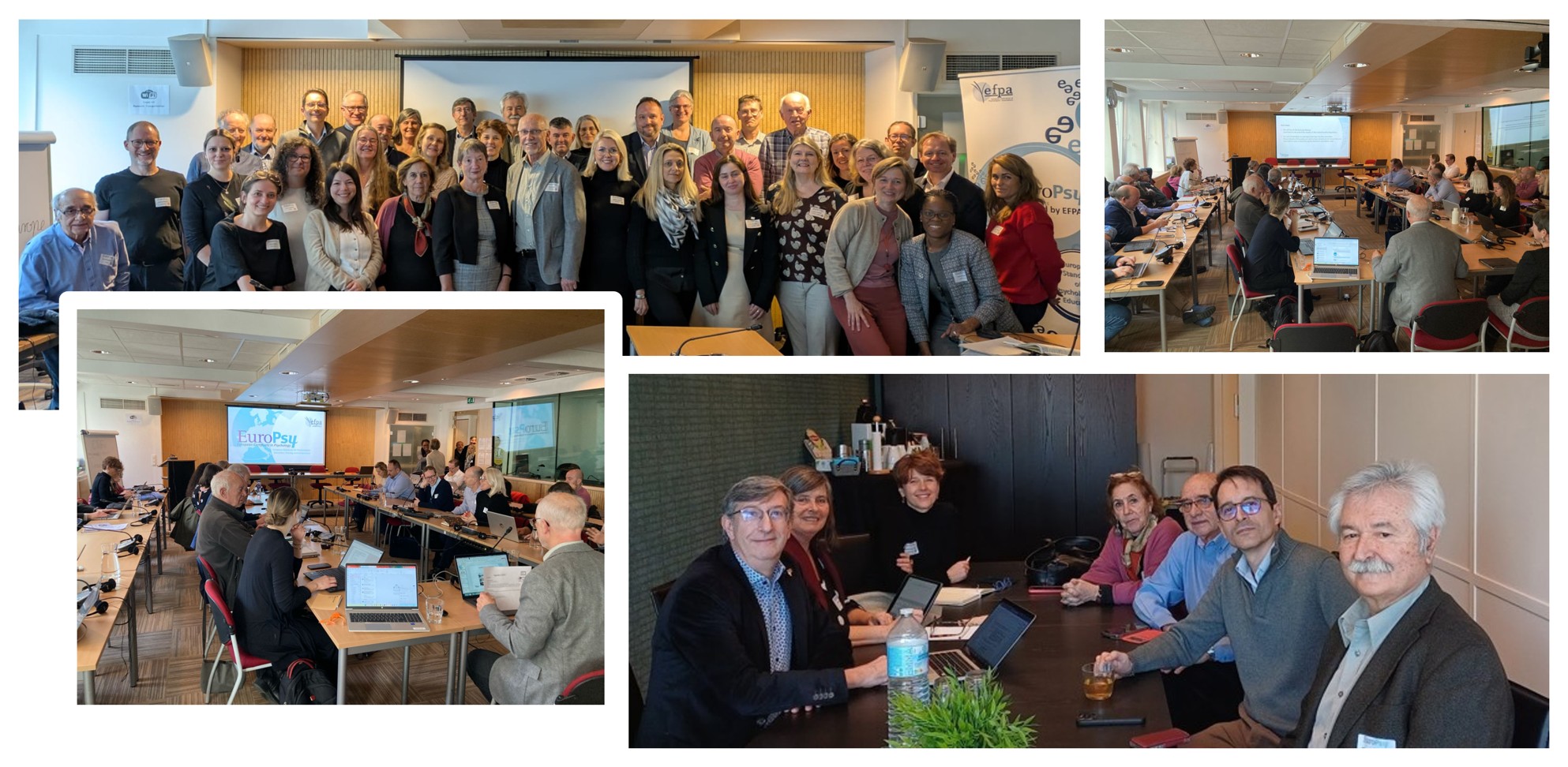 EuroPsy_Chairs_Meeting-March2025